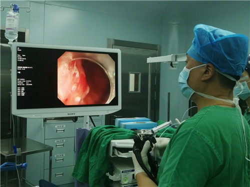 An endoscopist performing a therapeutic endoscopic procedure
