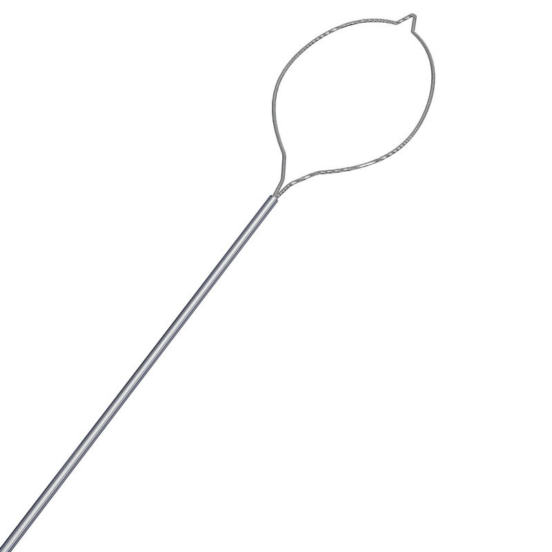 Tipped ellipse snare loop on flexible sheath