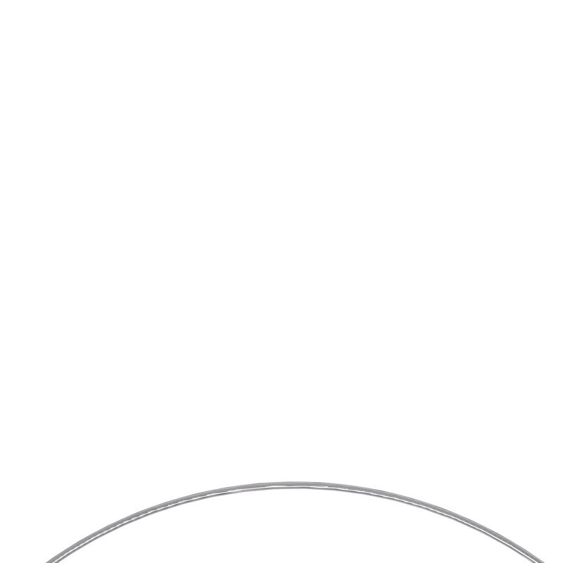 Flexible basket catheter and wire detail